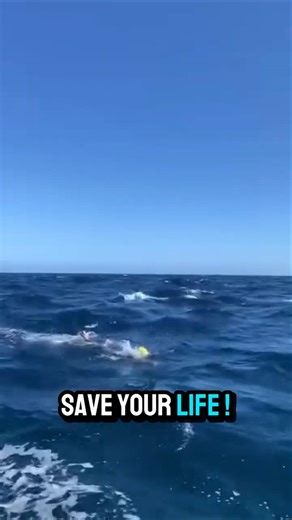 This Is Why the Ocean Is Dangerous !