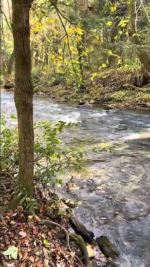 Smithgall Woods State Park, Helen, Georgia