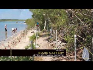 ONE Short: Kids Go Green