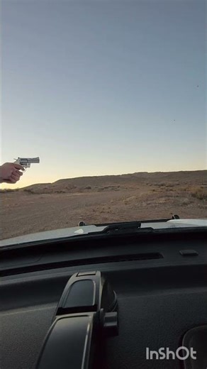 colt python 38 special