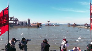 Experience the ancient ambiance at the Three Kingdoms and Water Margin Theme Park in #Wuxi, where red-billed gulls soar above and cypress trees exude a fiery red hue. #BeautifulWuxi [Video/Wuxi Aerial Photography Association] | Wuxi, China