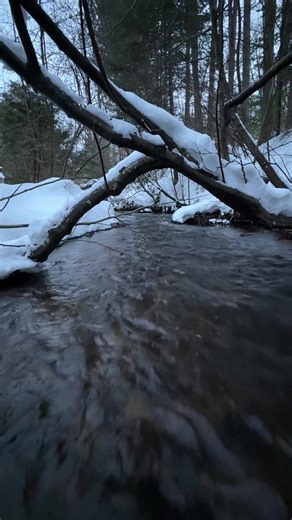 #yooper #upperpeninsulamichigan #zachbryan #river #fishing