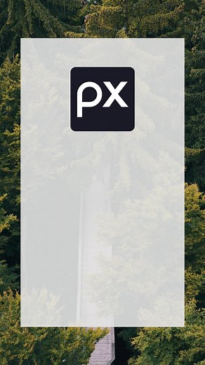 6K views · 23 reactions | This week editor's choice highlight | Pixabay | Facebook