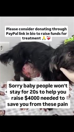 sorry baby people won't stay for 20s to help you raise $2000 to save you #usa #uk #california