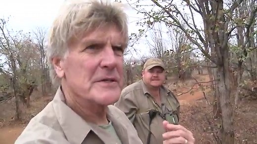 How Fast Can a Rhino Run? It's the Fastest Mammal Weighing Over a Ton