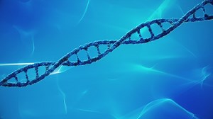 Premium stock video - Blue dna strand made of blue spheres animated on a light blue looping background