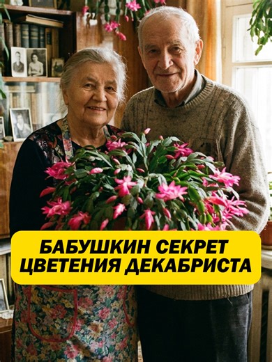 БАБУШКИН СЕКРЕТ ЦВЕТЕНИЯ ДЕКАБРИСТА Артикул на вб: 320486167 #удобрения #домашниерастения #Evoxinex #biodoctor