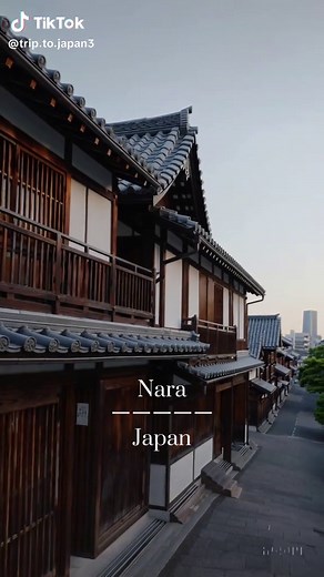 “Nara is a historic city in Japan, known for its ancient temples, free-roaming deer in Nara Park, and cultural heritage as Japan’s first capital.”#visitjapan #winterwonderland #japantravel #japanheritage #nara #fyp #GayaUntukRaya