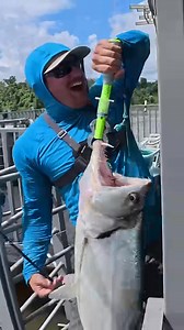 Cast further, catch more! Introducing Alijoz 400 Baitcasting Reel: • Powerful Drag up to 38lbs • Long-Distance Casting • The effort-saving balanced rocker arm | Piscifun