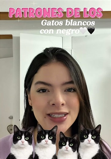 Cuidado y Características de Gatos Blancos y Negros
