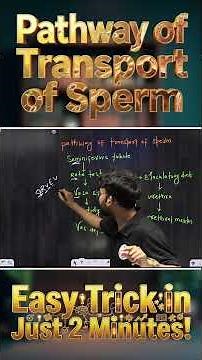 Pathway of Transport of Sperm 😱 | Human Reproduction Explained | Science by Khan Sir