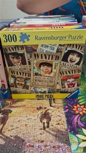 Puzzles de 200 y 300 piezas para adultos