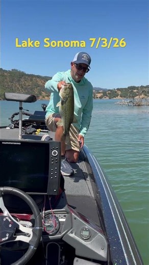 Fatty bass! #fishing #bassfishing #lakesonoma #livescope