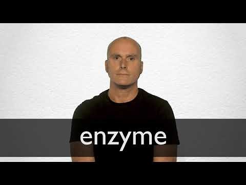 How to pronounce ENZYME in British English