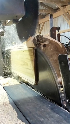 This is just one side of a nice poplar log that I saw! I’ll put the full video up later. I hit this nice and smooth! Thank you for following my page. I’ll be at 70k followers soon! #satisfying #asmr #Sharp #lumberjack #familybusiness | Sawyerpool95