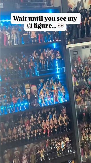My Top 15 Favorite Wrestling Figures in My Collection ⭐