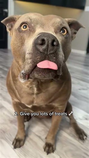 Why dog moms are the best ❤️