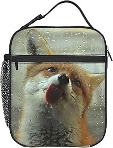 Funny Fox Lunch Box - Insulated Lunch Bags for Women/Men/Girls/Boys Detachable Handle Lunchbox Meal Tote Bag