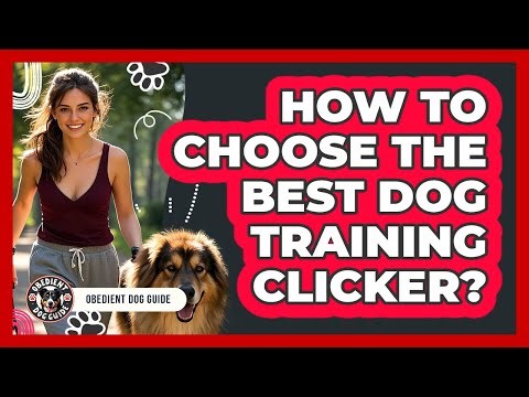 How To Choose The Best Dog Training Clicker? - Obedient Dog Guide