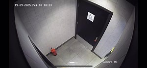 Passing Out at Work: A Surprising Moment