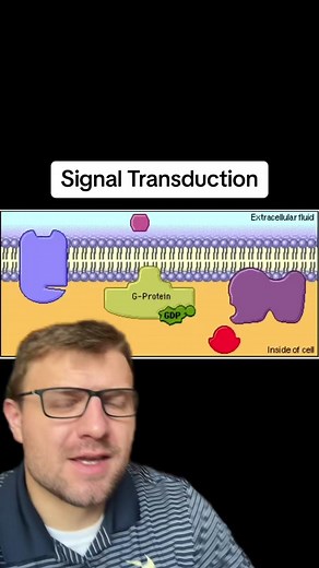 Signal Transduction #biology #signaltransduction #cellcommunication #science #apbiology #greenscreenvideo