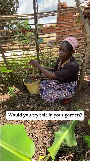 How Goat Manure Becomes Organic Garden Fertilizer