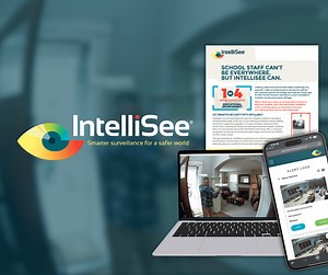 AI Security Solutions: Real-Time Threat Detection and Safety Monitoring