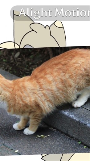 Meet mittey! The mitten kitten! 🐈 #mychannel #cute #animation #edit #cat #kitty