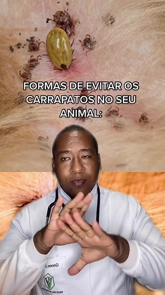 Understand Tick Behavior on Human Skin