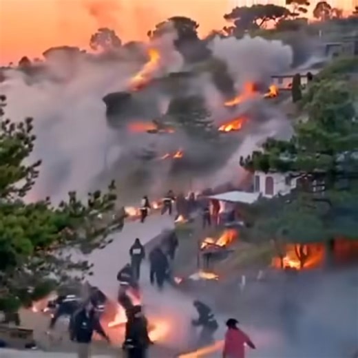 "Breaking news, 5 minutes ago, many people were killed and a fire broke out in …See more " | Freedom news