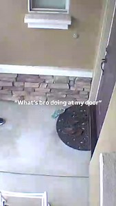 What’s bro doing at my door? | Blenders | Facebook