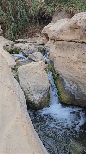 Nature's smallest waterfalls are sometimes the most beautiful.