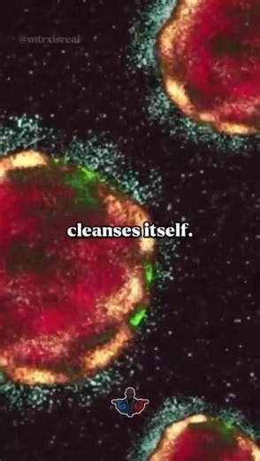 32K views · 1.7K reactions | germ theory is complete bs | N-V-M | Facebook