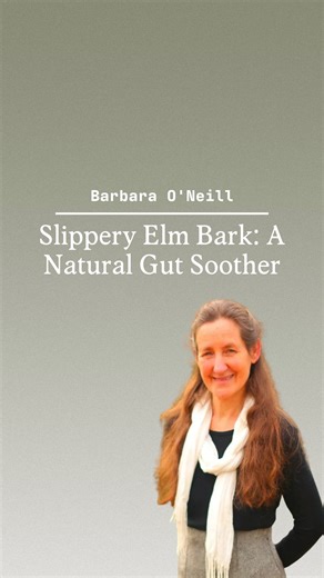 Slippery elm bark contains soothing mucilage that can coat the digestive tract. 🛡️ Helps protect irritated intestinal lining 🔥 May reduce gut discomfort & inflammation ⏳ Can slow diarrhea by forming a gentle gel in the gut ⚠️ Doesn’t treat underlying inflammation — use alongside prescribed care ⏱️ Take separately from medications to avoid absorption issues ----- 👇👇👇👇👇 💥🪱Kill parasites for good. Buy a bottle of Gut Scrub, get one FREE. 👉 Comment “BOGO” to get your code ✅ | Gut Scrub