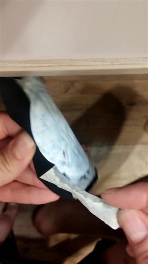 DIY Punk Rock Projects for Creative Expression