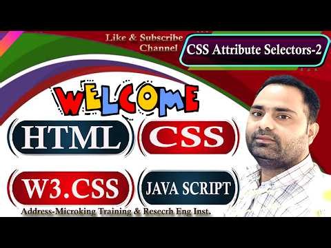Attribute Selector [attribute="value"]