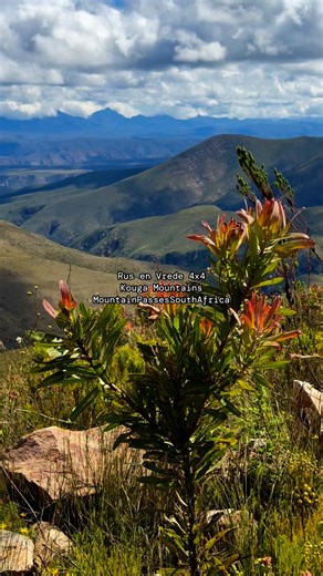 11K views · 206 reactions | There’s a great 4x4 route that connects...