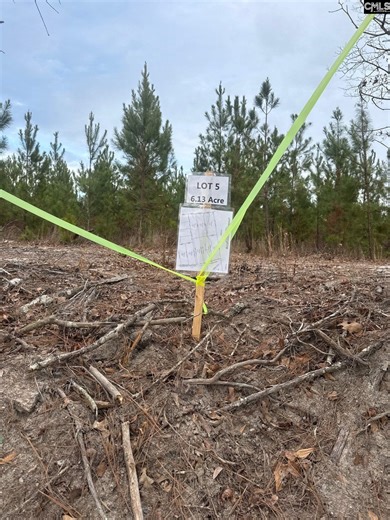 Qbf 5 Quattlebaum Road Qbf 5, Batesburg, SC 29006 - MLS 624250 - Coldwell Banker