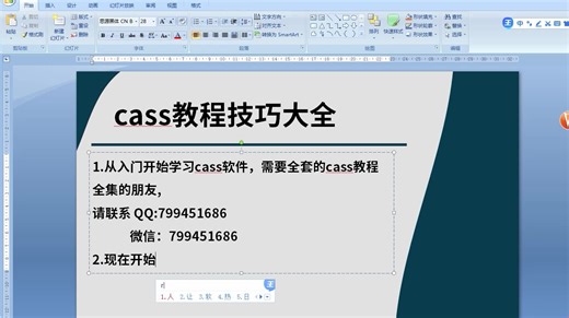 cass视频教程技巧大全-标清