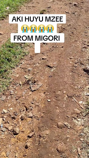 APOSTLE DAN WEMA on TikTok