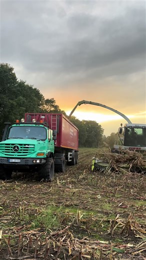 Mercedes Zetros und Claas Jaguar 20000: Maisernte 2025