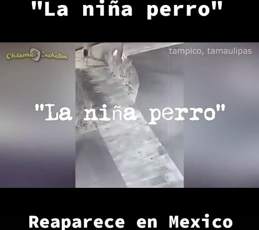 Historia de 'La Niña Perro': Reaparece en México 🥶