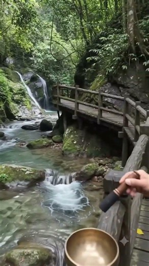 🍃 河流流動與森林鳥鳴｜柔和自然之聲・深度放鬆・舒壓療癒・助眠白噪音7 | 頌缽聲