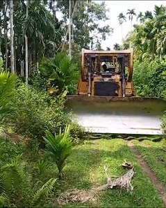 Amazing!!! Reviving Forgotten Roads! Caterpillar D6R XL Bulldozer's Excellent Bush Clearing | Bulldozer Forest
