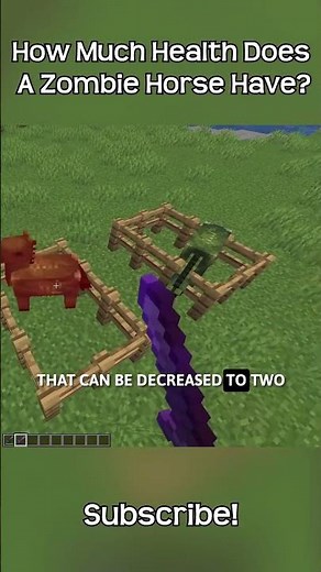 How Much Health Does A Zombie Horse Have In Minecraft?!
