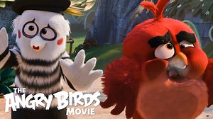 39K views · 971 reactions | Don't freak out, The Angry Birds Movie...