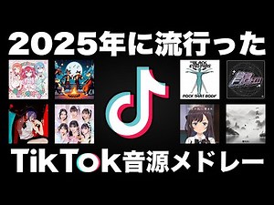 【TikTok】全部口ずさめたら依存症！？2025年に流行ったTikTok音源メドレー！