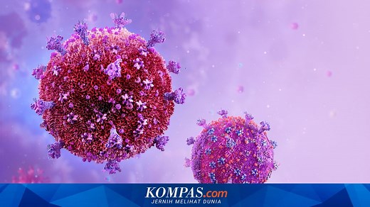16 Penyakit pada Manusia yang Disebabkan oleh Virus