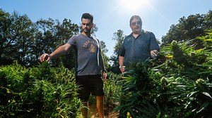 Meet Cornbread Hemp, the Kentucky business raking in $20 million by growing cannabis