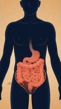 Stomach Bloating What REALLY Happens to Your Stomach 🎈 #stomach #bloating #foryou #shorts